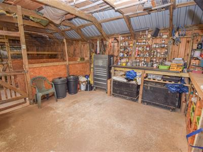 Picture 31